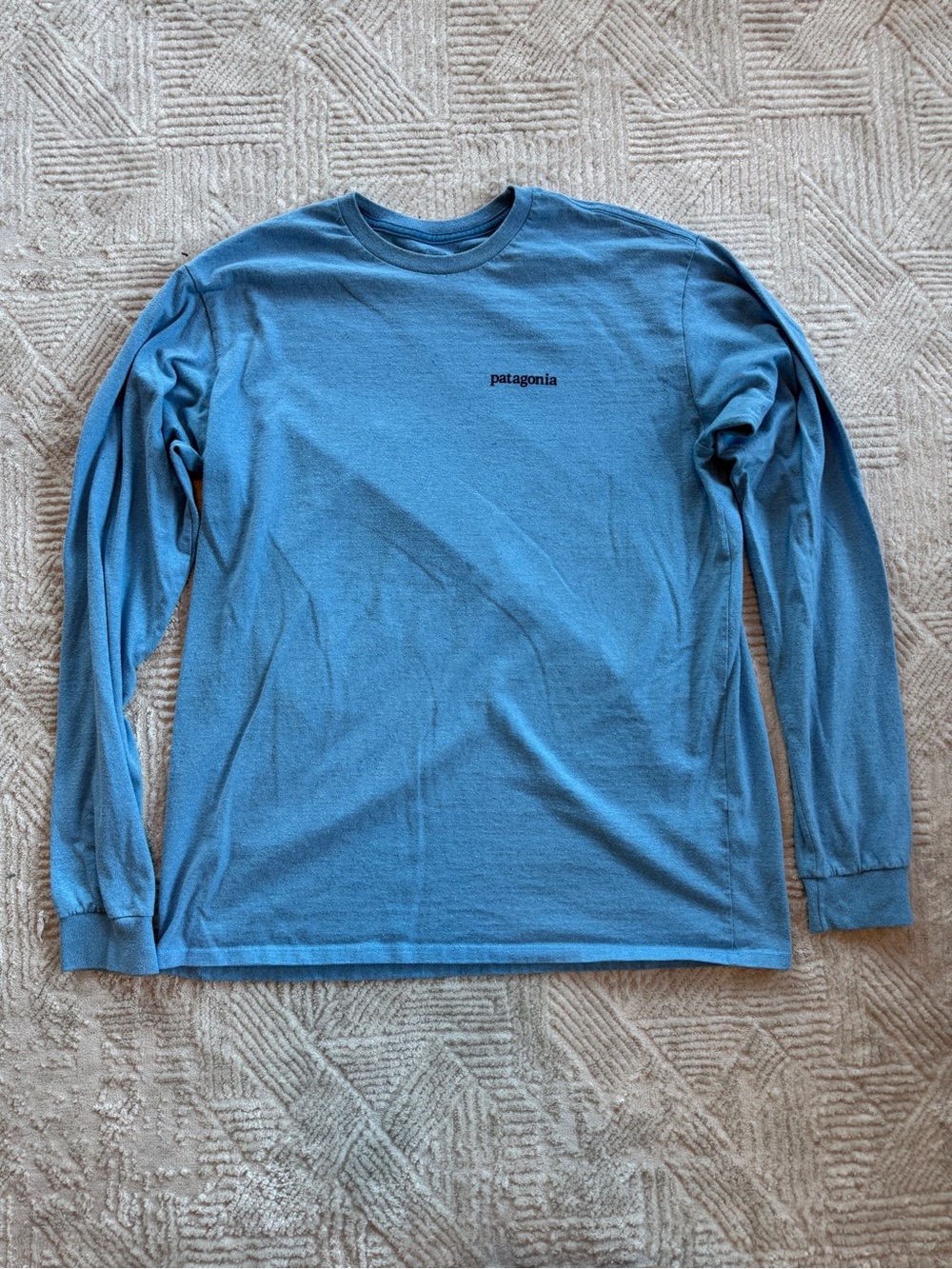 Patagonia Responsabili-Tee Long Sleeve Graphic Shirt Blue Men’s M Mountain Logo